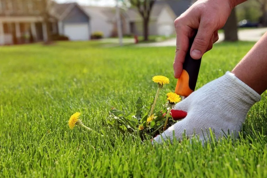 The Benefits Of Regular Gardening Services For Your Lawn in Winnetka CA The Benefits Of Regular Gardening Services For Your Lawn in Winnetka CA