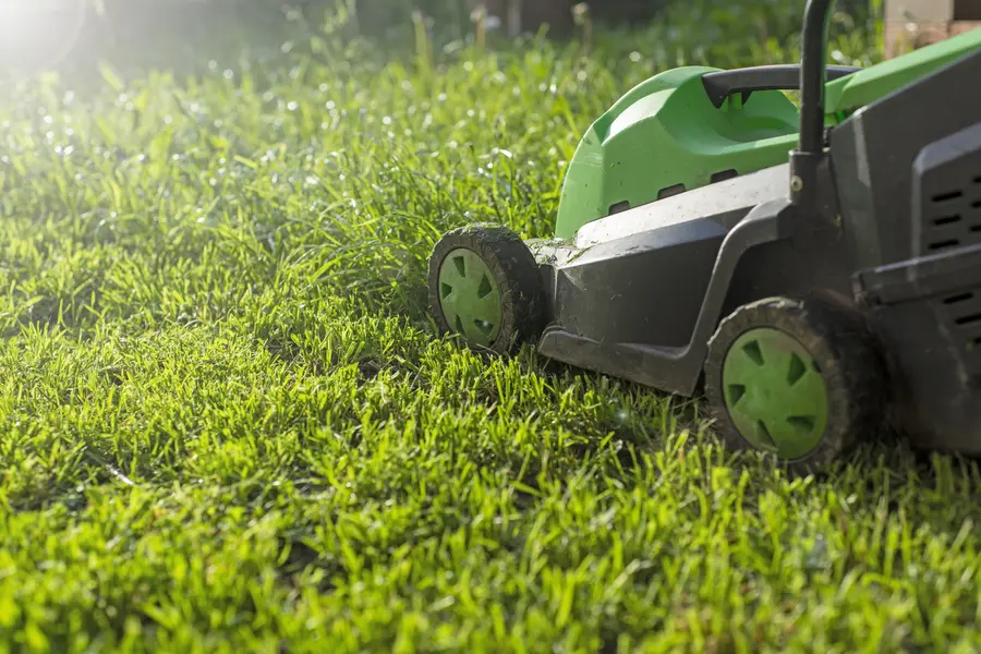 Expert Lawn Mowing Winnetka CA Expert Lawn Mowing Winnetka CA