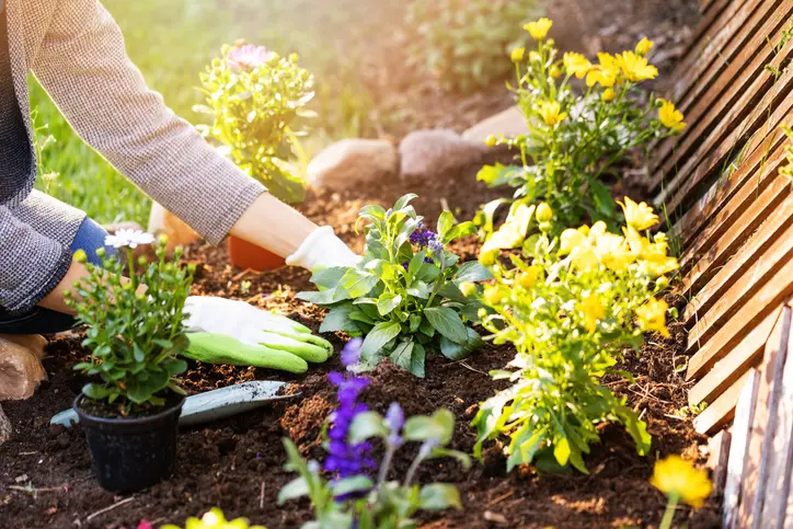 How Gardening Services Can Transform Your Outdoor Space Winnetka CA How Gardening Services Can Transform Your Outdoor Space Winnetka CA