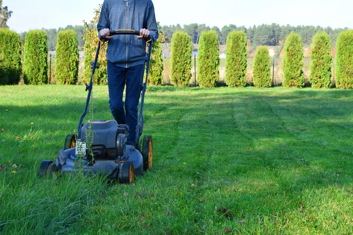 How Lawn Mowing Service Helps Maintain Your Lawn's Shape Winnetka CA How Lawn Mowing Service Helps Maintain Your Lawn's Shape Winnetka CA