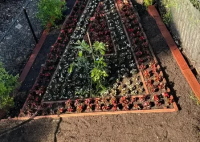 Innovative landscaping services