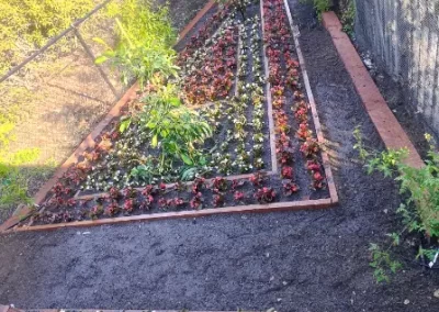 Professional landscaping services