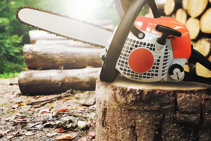 Reliable Tree Service Winnetka CA Reliable Tree Service Winnetka CA