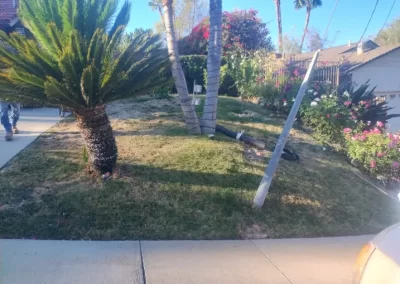 Reliable landscaping services