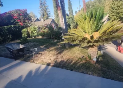 Sustainable landscaping services