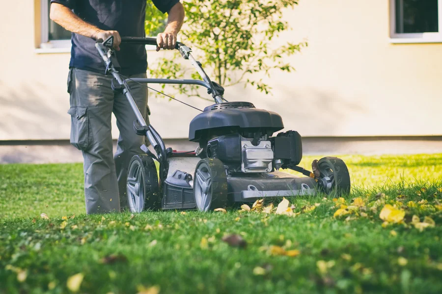 The Importance Of Lawn Mowing In Preventing Weed Overgrowth Winnetka CA The Importance Of Lawn Mowing In Preventing Weed Overgrowth Winnetka CA