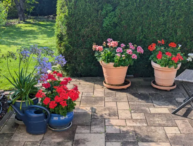 Top-rated Gardening Services Winnetka CA